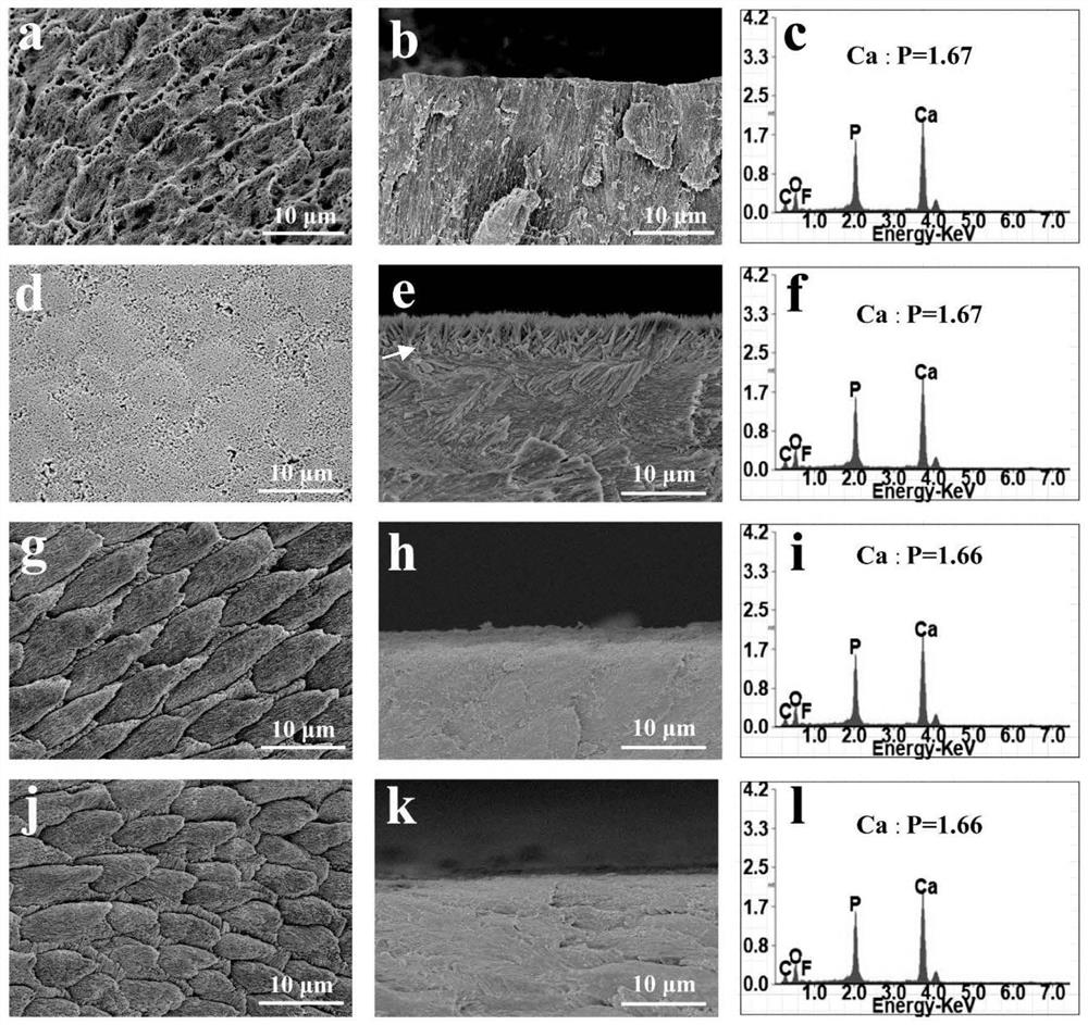 Pit and fissure sealing agent for permeating and sealing tooth occlusal surface pits and fissures and application of pit and fissure sealing agent