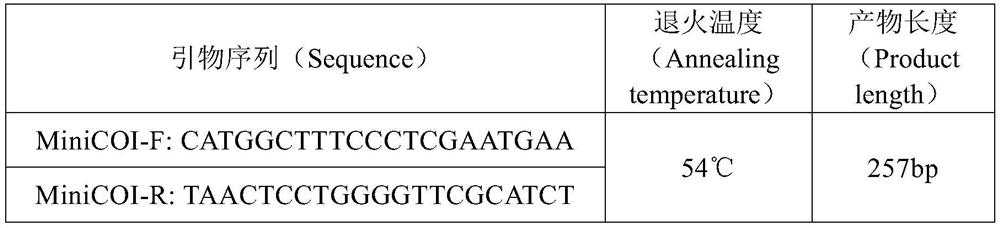 A method for species identification of edible sea cucumber based on DNA microbarcoding technology