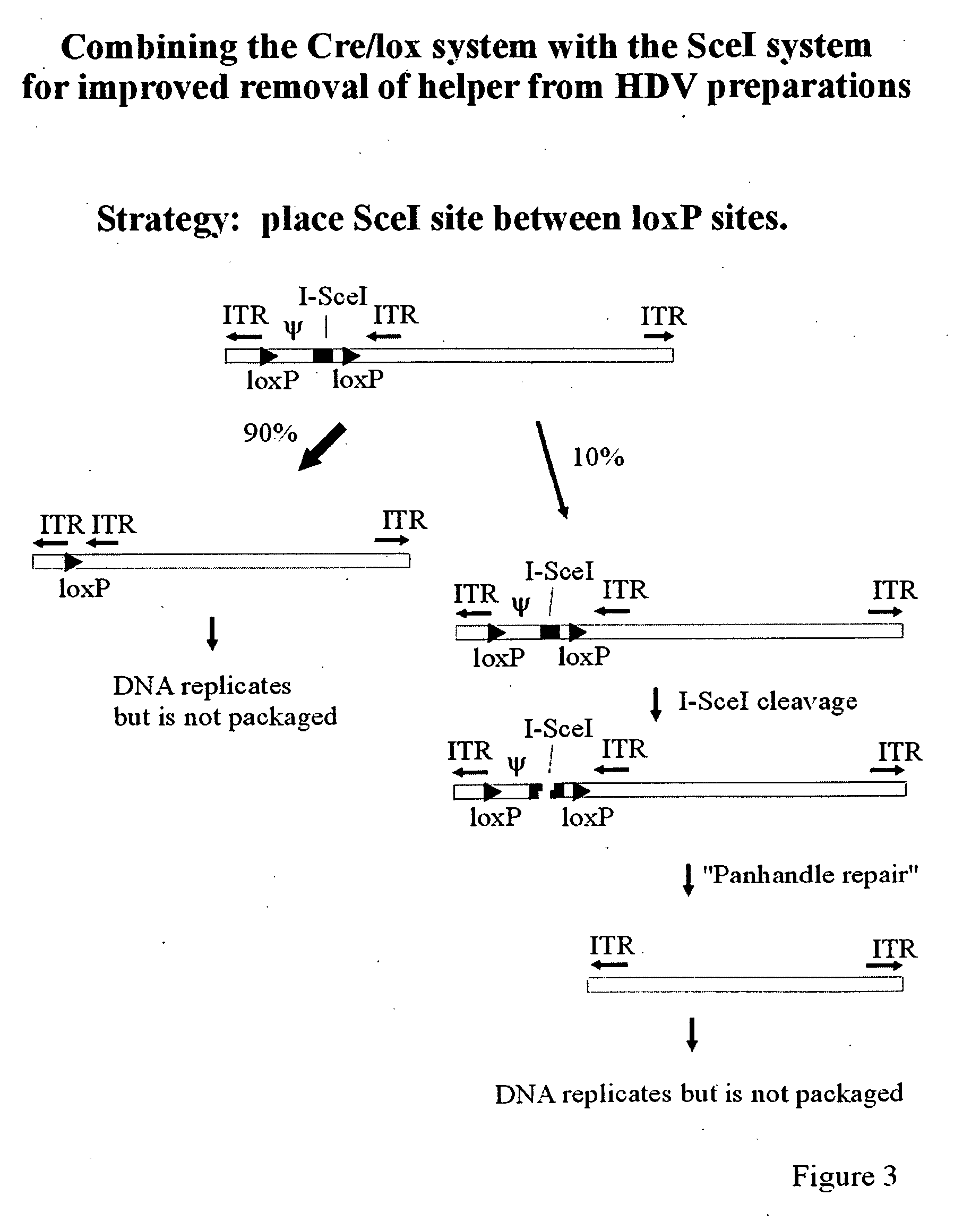 Adenovirus vectors comprising meganuclease-type endonucleases, and related systems