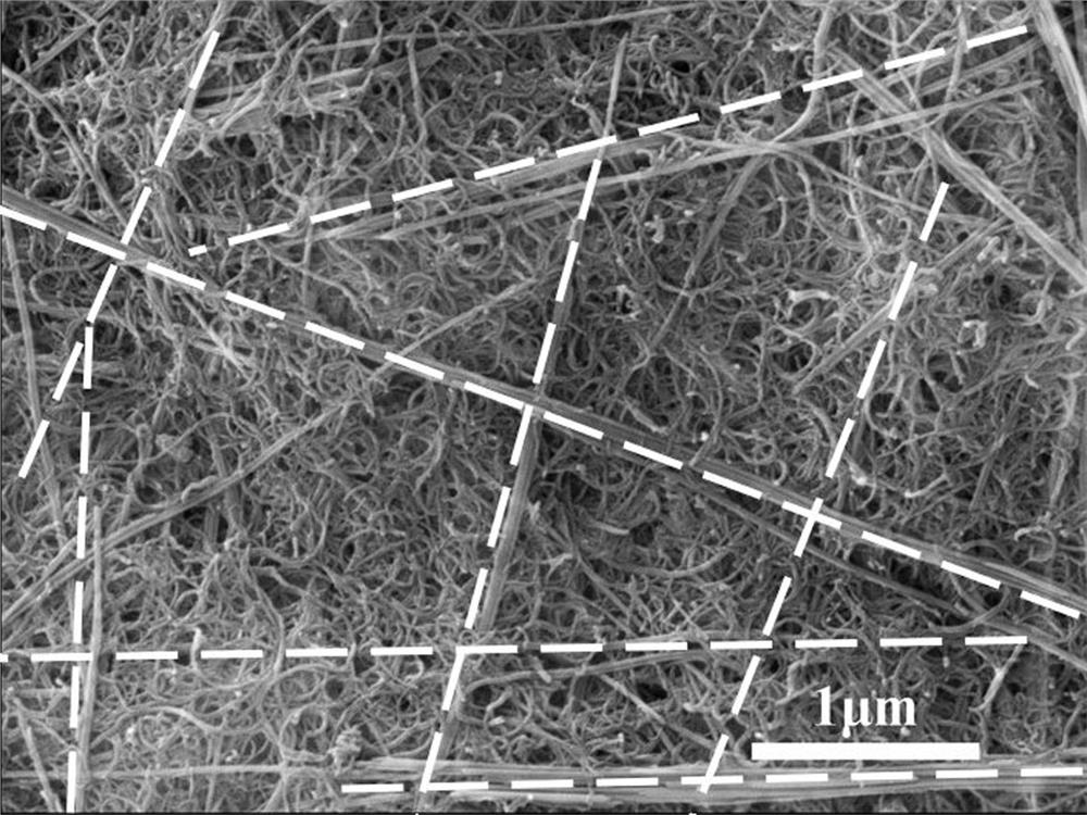 A preparation method of a hydrophilic oil-water separation membrane imitating a spider web structure