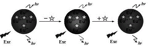 Method for preparing Eu3+ labelled molecule imprinted sensor used for pesticide residue detection