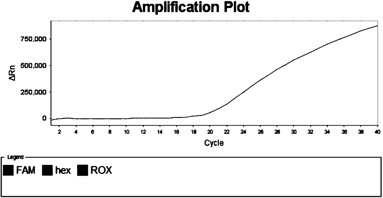 SNP molecular marker for identifying aquilaria sinensis, aquilaria yunnanensis and aquilaria malaccensis and application of marker