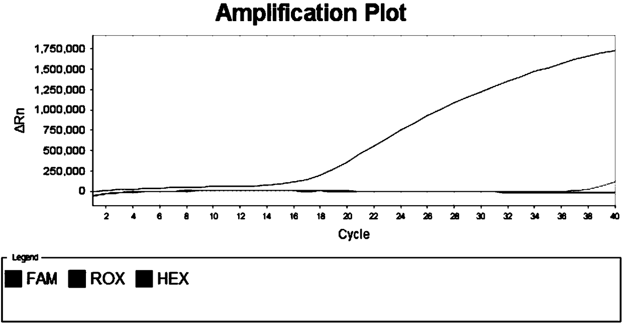 SNP molecular marker for identifying aquilaria sinensis, aquilaria yunnanensis and aquilaria malaccensis and application of marker