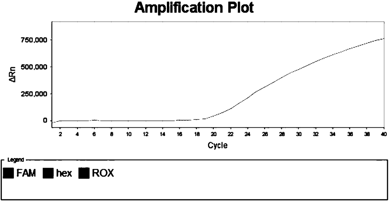 SNP molecular marker for identifying aquilaria sinensis, aquilaria yunnanensis and aquilaria malaccensis and application of marker