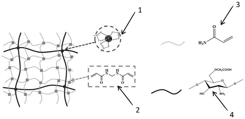 In-situ rapid prototyping magnetic hydrogel for urinary system repair and preparation method thereof