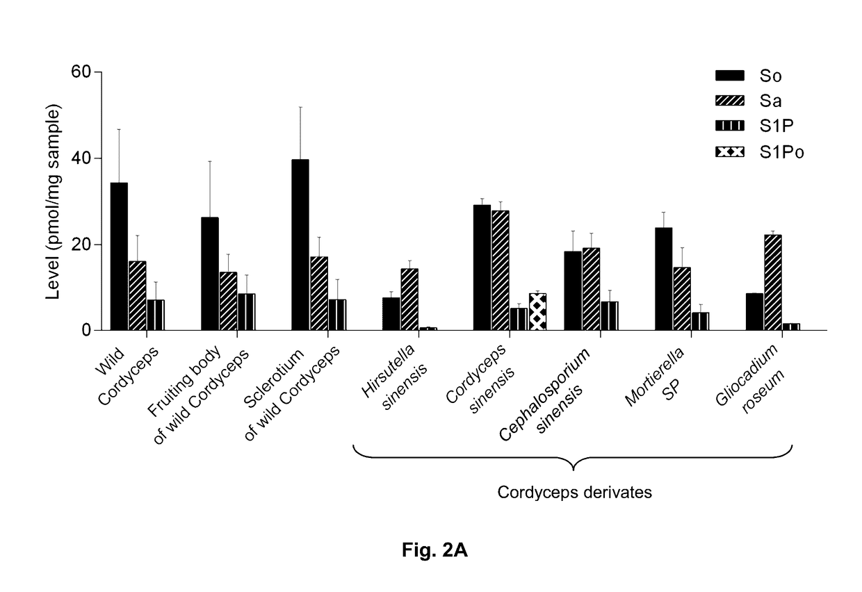 Methods of identifying and quantifying sphingolipids