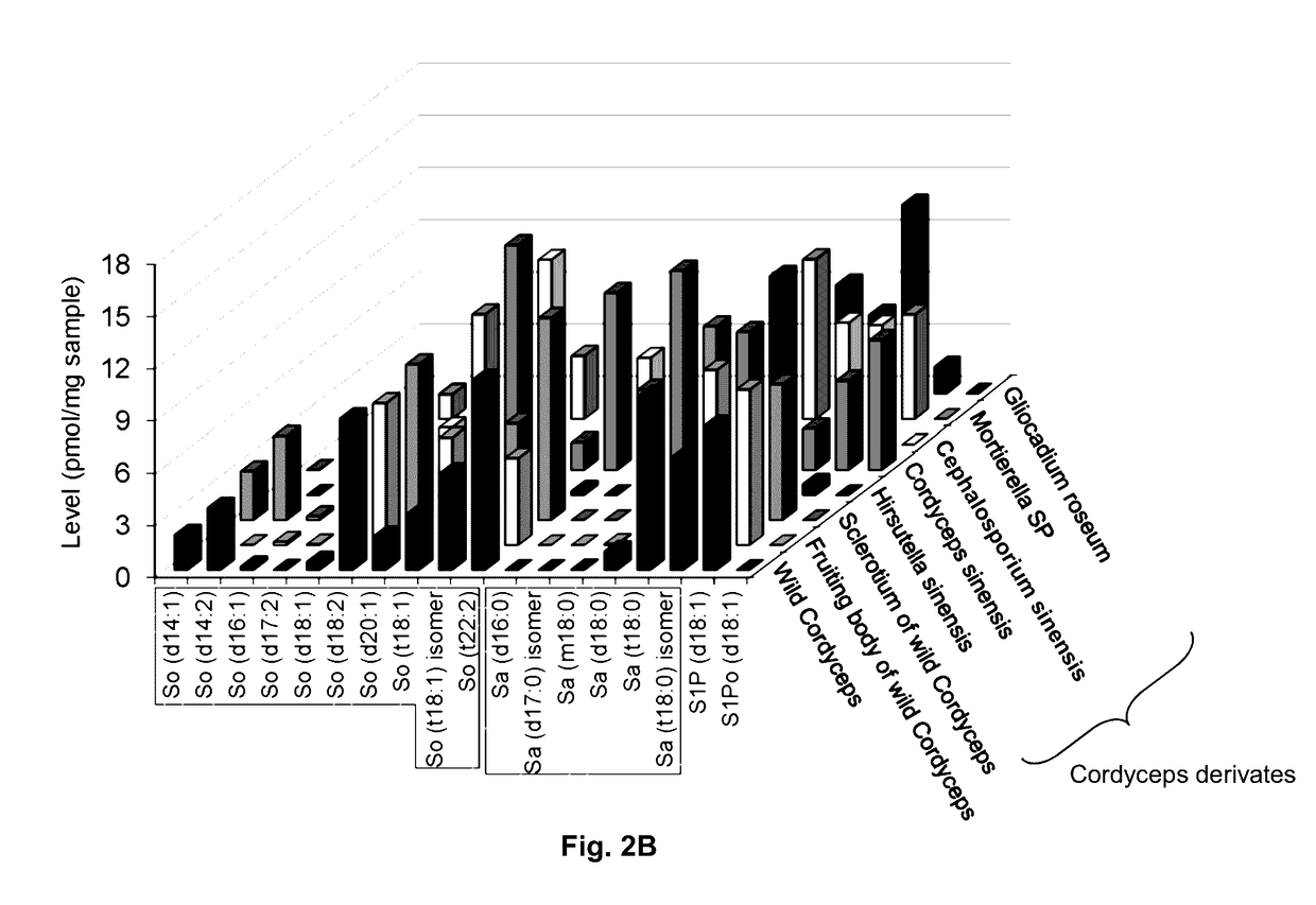 Methods of identifying and quantifying sphingolipids