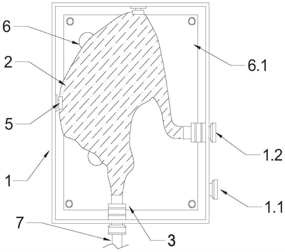 Sealed and pressure-controllable pig stomach fixator