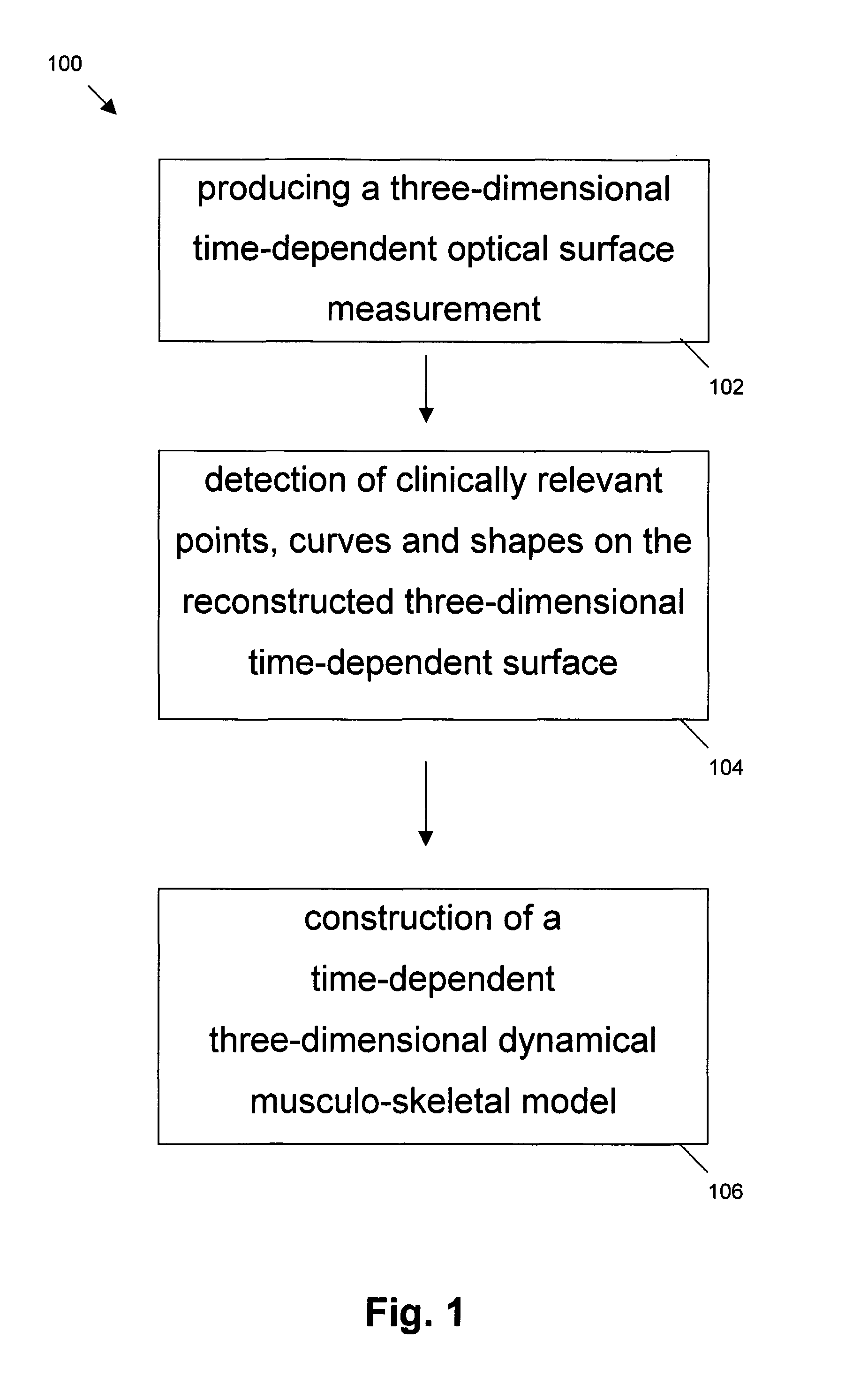 Time-dependent three-dimensional musculo-skeletal modeling based on dynamic surface measurements of bodies