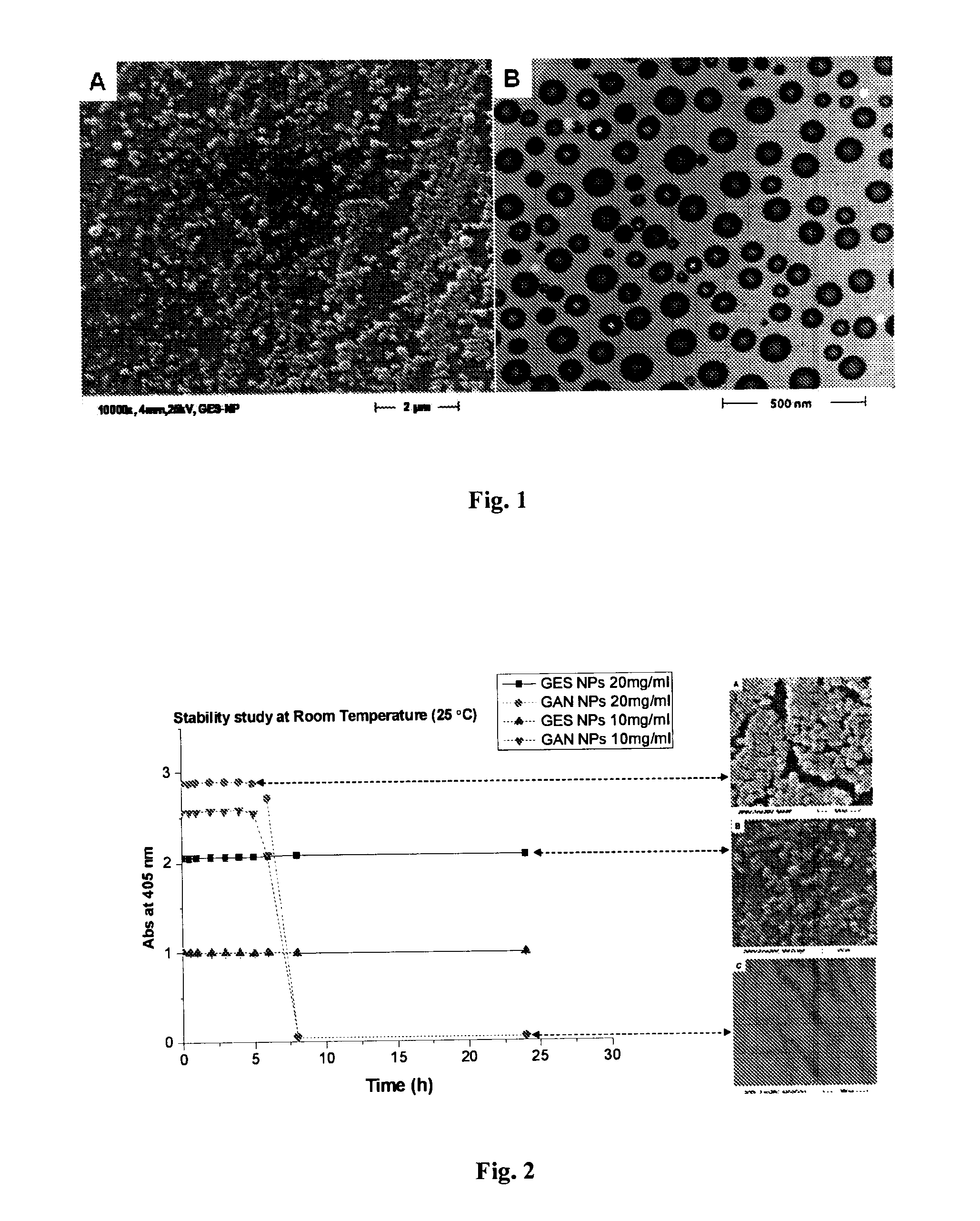 Nanoparticles comprising esters of poly (methyl vinyl ether-co-maleic anhydride) and uses thereof