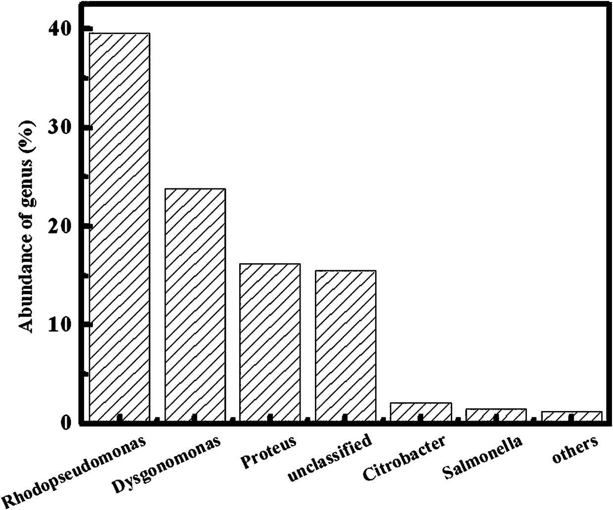 Photo microbial fuel cell can be used for simultaneous processing of high concentration starch waste water and carbon source-free nitrate-containing waste water, and applications thereof