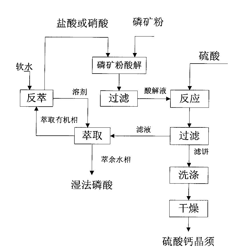 Co-production method of calcium sulfate whisker and phosphoric acid