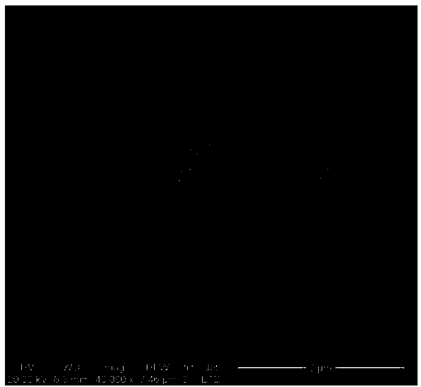 Calcium-based adsorbent and preparation method thereof