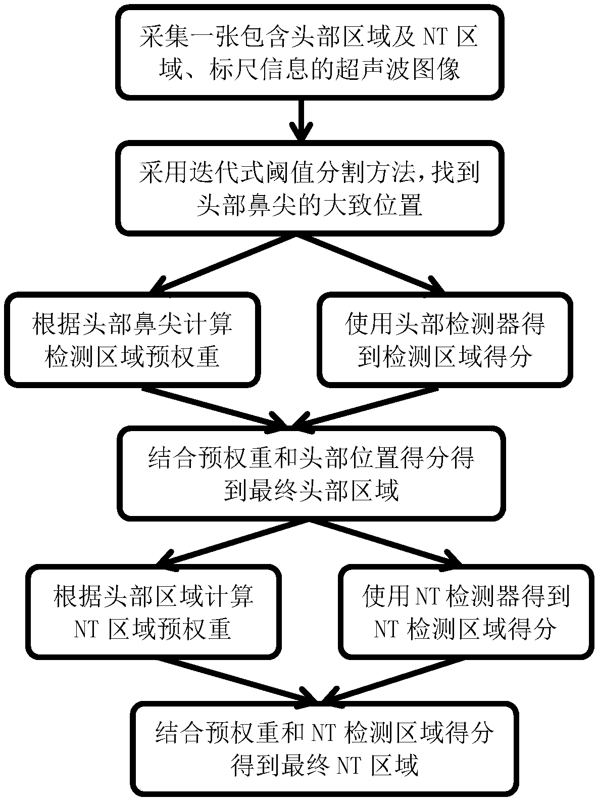 Detection method and system for position of fetal nape transparent object with combination of medical statistical information