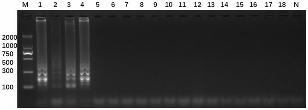 Method for identifying bactrocera minax and primer group used by method