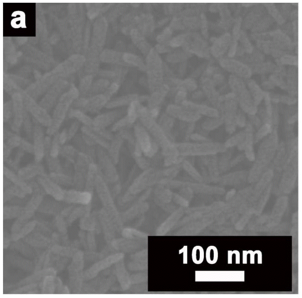 Graphene/porous iron oxide nano-rod compound and preparation method thereof