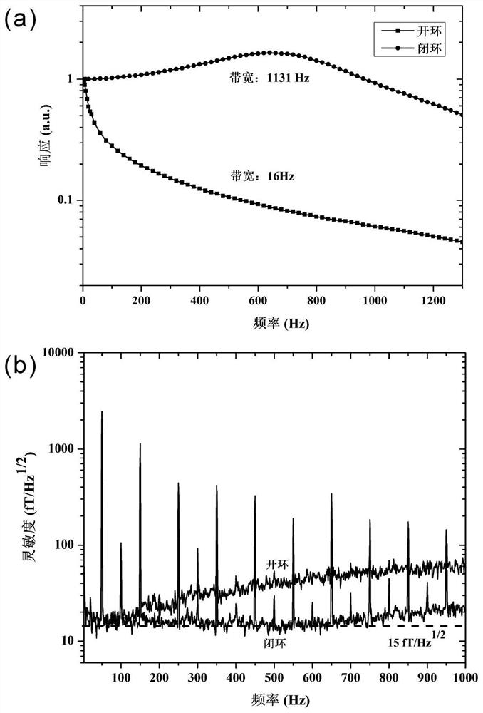 High-bandwidth high-sensitivity closed-loop SERF atom magnetometer device