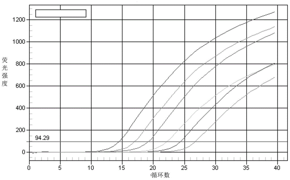 Method for quantitative PCR detection of exogenous gene copy number in transgenic cell