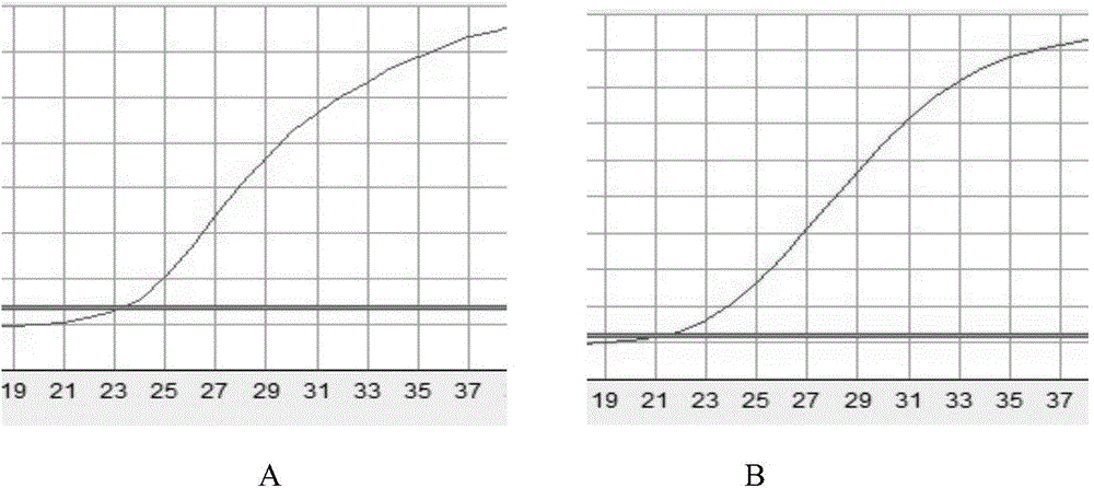 Primers and kit for detecting specific gene HB-1 of acute B lymphocyte leukemia