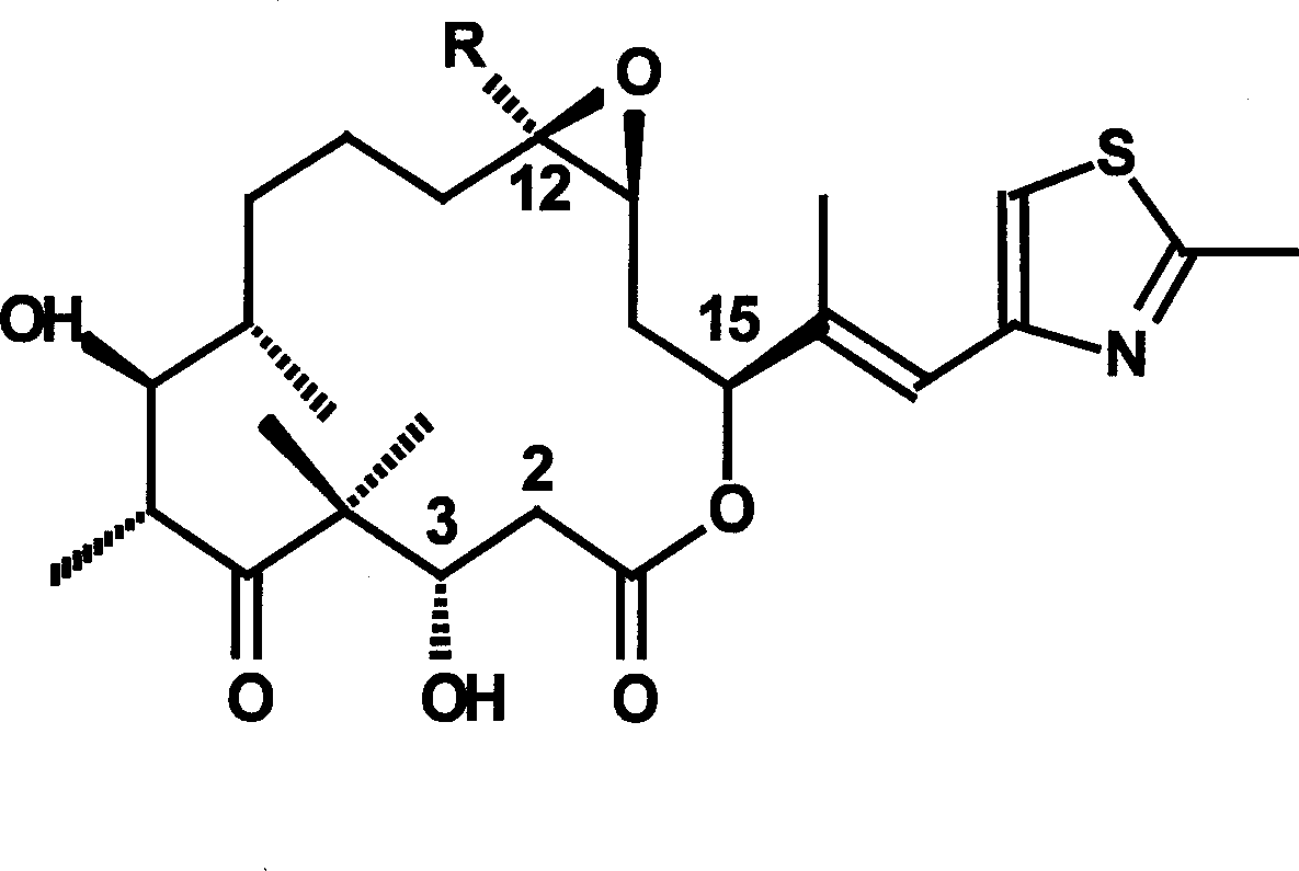 Process for separating and purifying ebormycine from fermented myxobacterium liquid