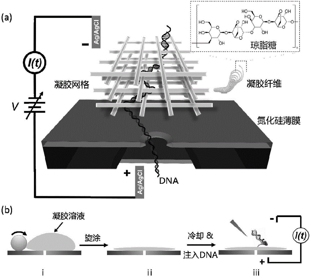 Nanopore sequencing method for nucleic acid molecules with low perforation rate and special nanopore device thereof