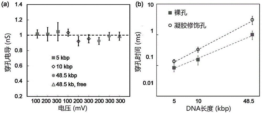 Nanopore sequencing method for nucleic acid molecules with low perforation rate and special nanopore device thereof