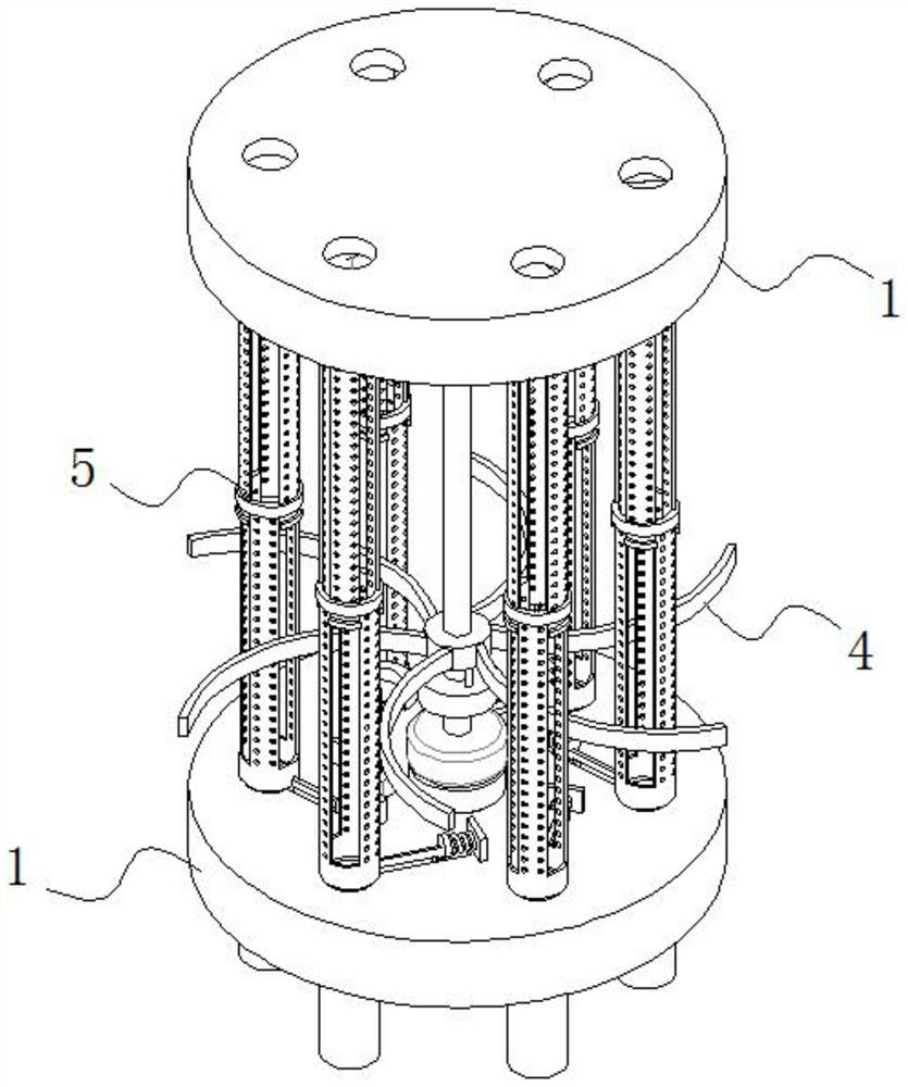 Guide cutting structure special for whole grain noodles