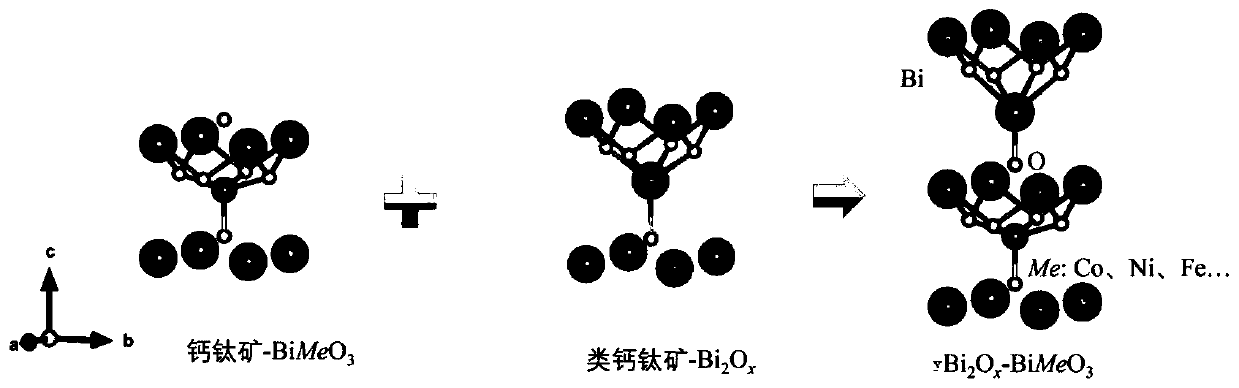 Two-dimensional layered perovskite ferroelectric multifunctional film and preparation process thereof