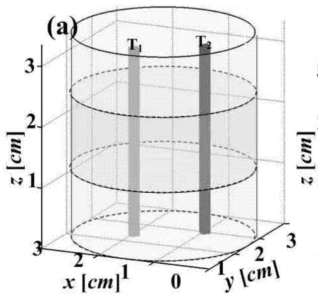 Fluorescent diffusion optical cross-sectional image reestablishing method based on dfMC model