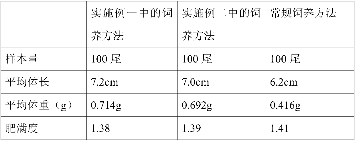 A kind of artificial breeding method of red cyprinus chinensis