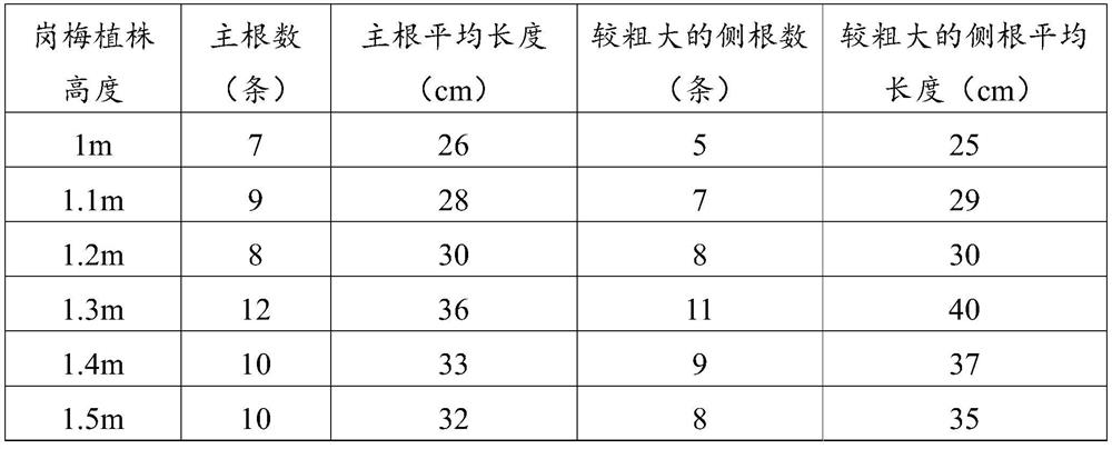 Method for promoting root growth of ilex asprella