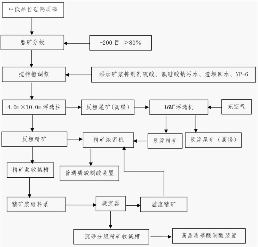 Method of graded use of reverse flotation phosphorus concentrate pulp