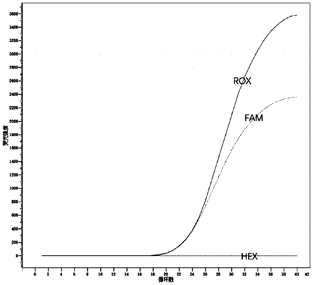 MTHFR and MTRR gene polymorphism detection primer, probe, kit and application