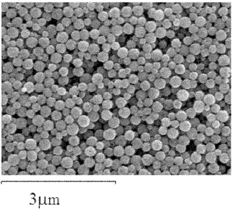 Immune nano-magnetic particle for detecting Cry1Ab/Cry1Ac insecticidal proteins and preparation method thereof