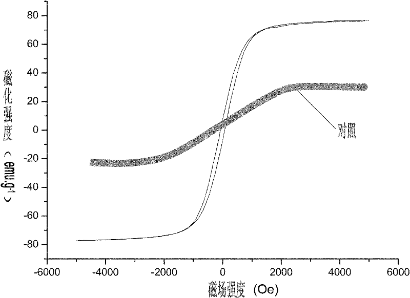 Immune nano-magnetic particle for detecting Cry1Ab/Cry1Ac insecticidal proteins and preparation method thereof