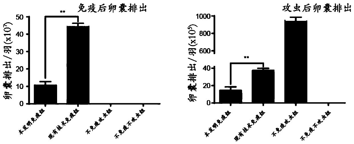 A kind of chicken coccidiosis vaccine immunization method