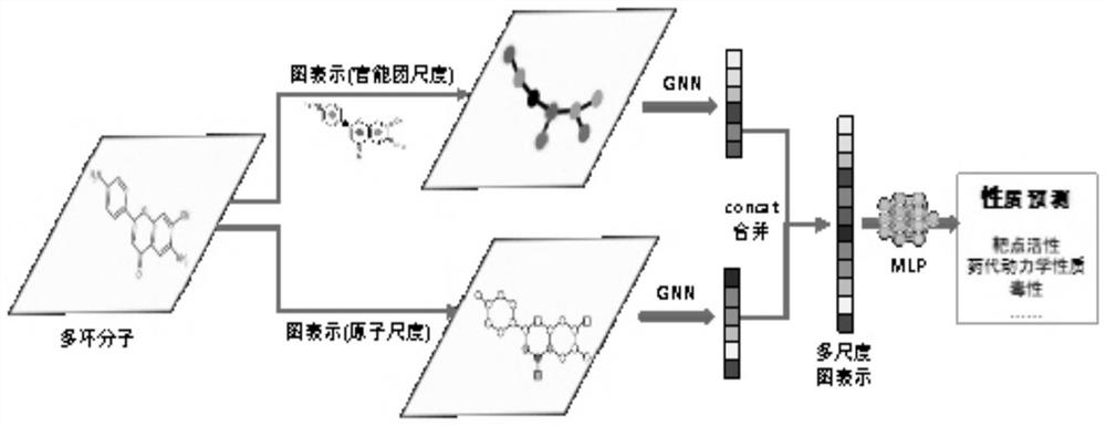 Drug small molecule property prediction method, device and equipment based on graph neural network