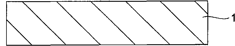 Developing method and developing apparatus