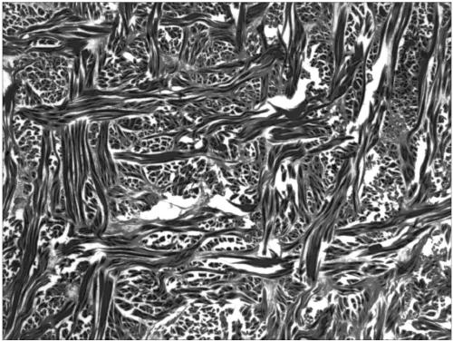 A kind of bioscaffold material suitable for cell growth and preparation method thereof