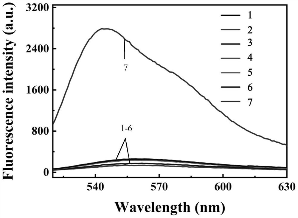 miRNA detection and imaging method, composition and kit