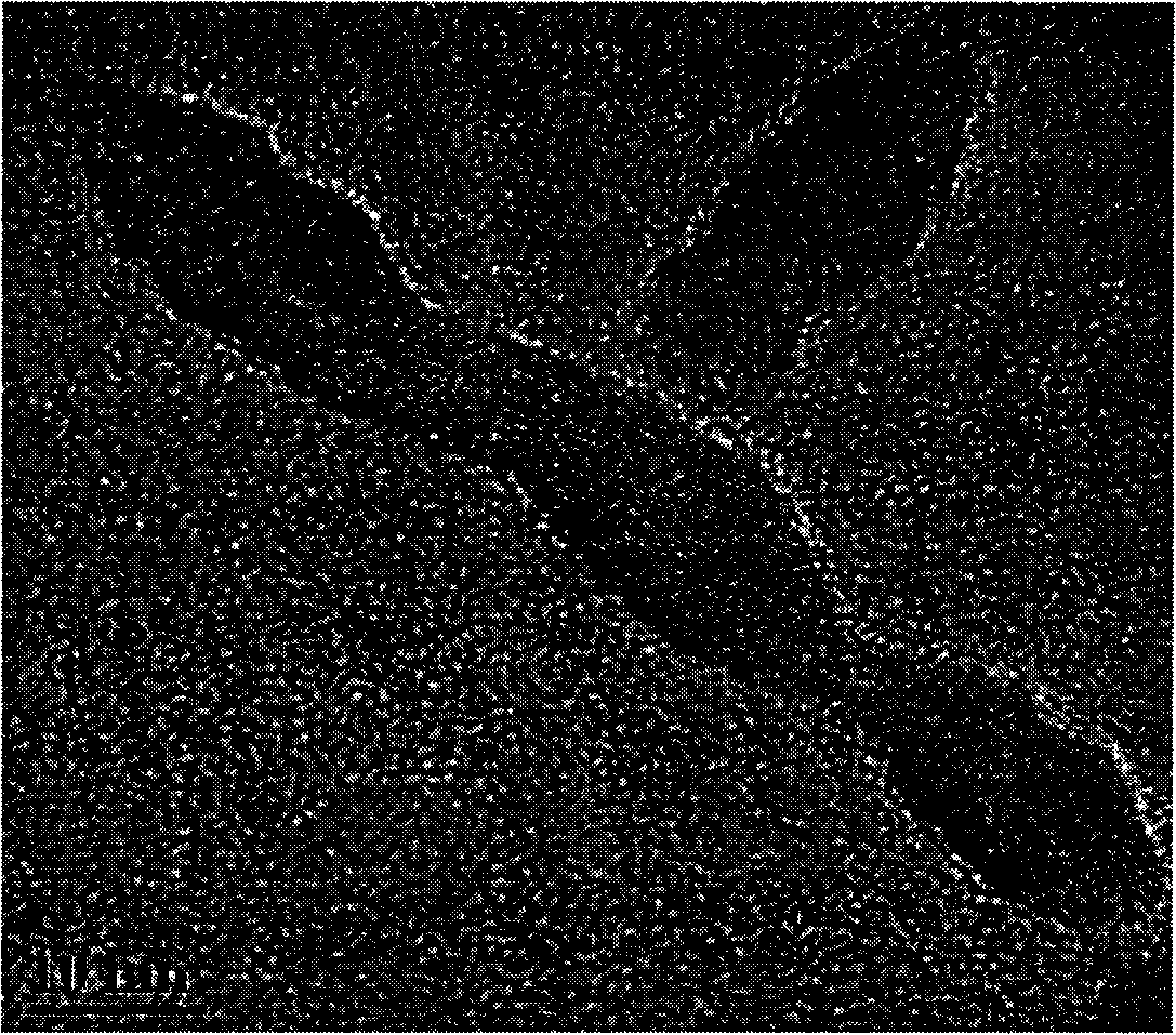 Method for preparing extrafine anatase titanium dioxide nano rods