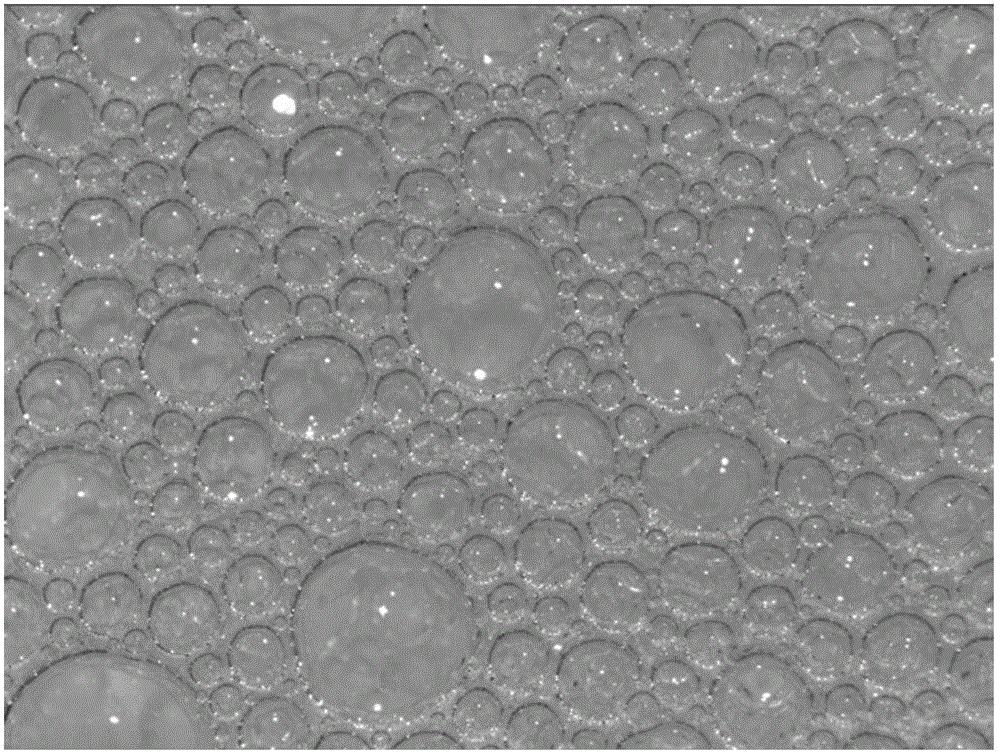 Canny operator-based foam boundary recognition and grain size analysis method