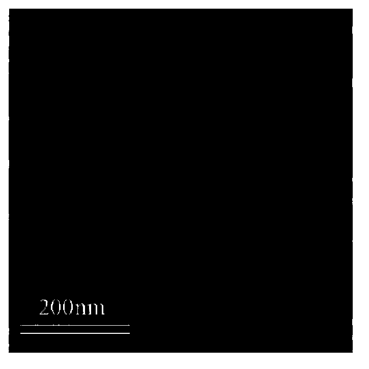 Self-assembled nanoparticles for targeting delivery of paclitaxel and its preparation method and uses