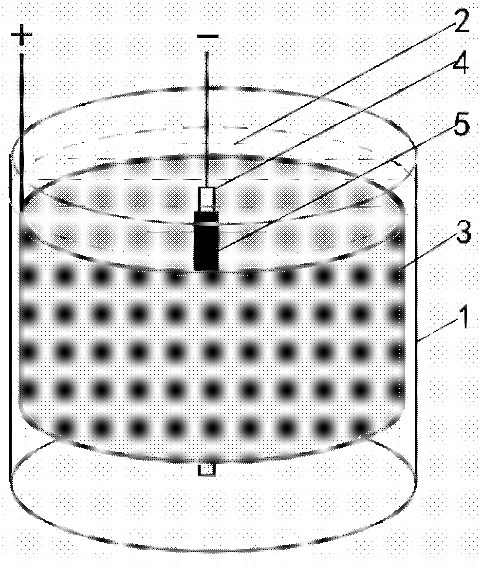 Method of preparing degradable Fe-Zn alloy pipe for intravascular stent by electroforming