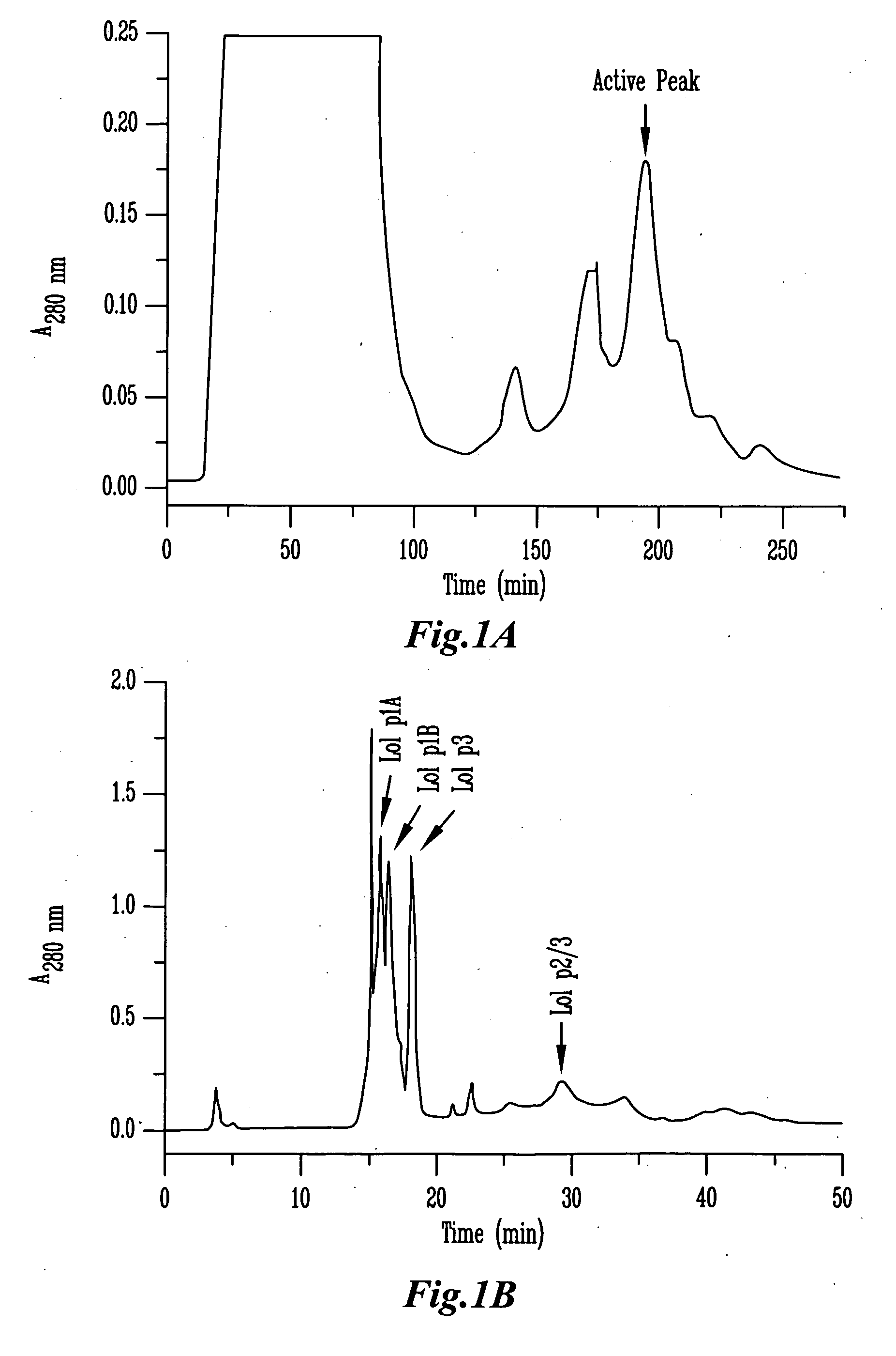 Plant cell wall loosening activity of group 2/3 allergens of grass pollen