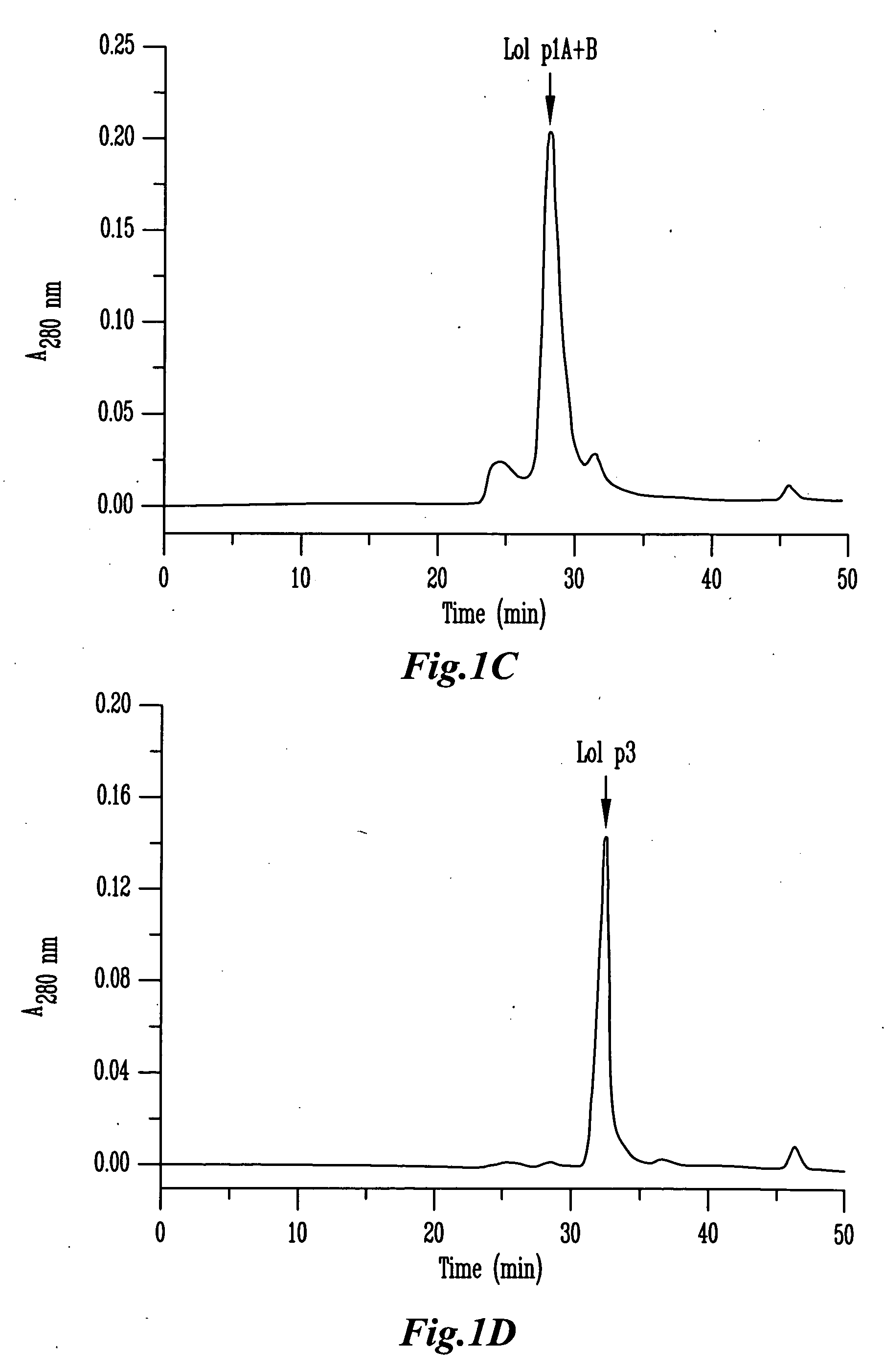 Plant cell wall loosening activity of group 2/3 allergens of grass pollen