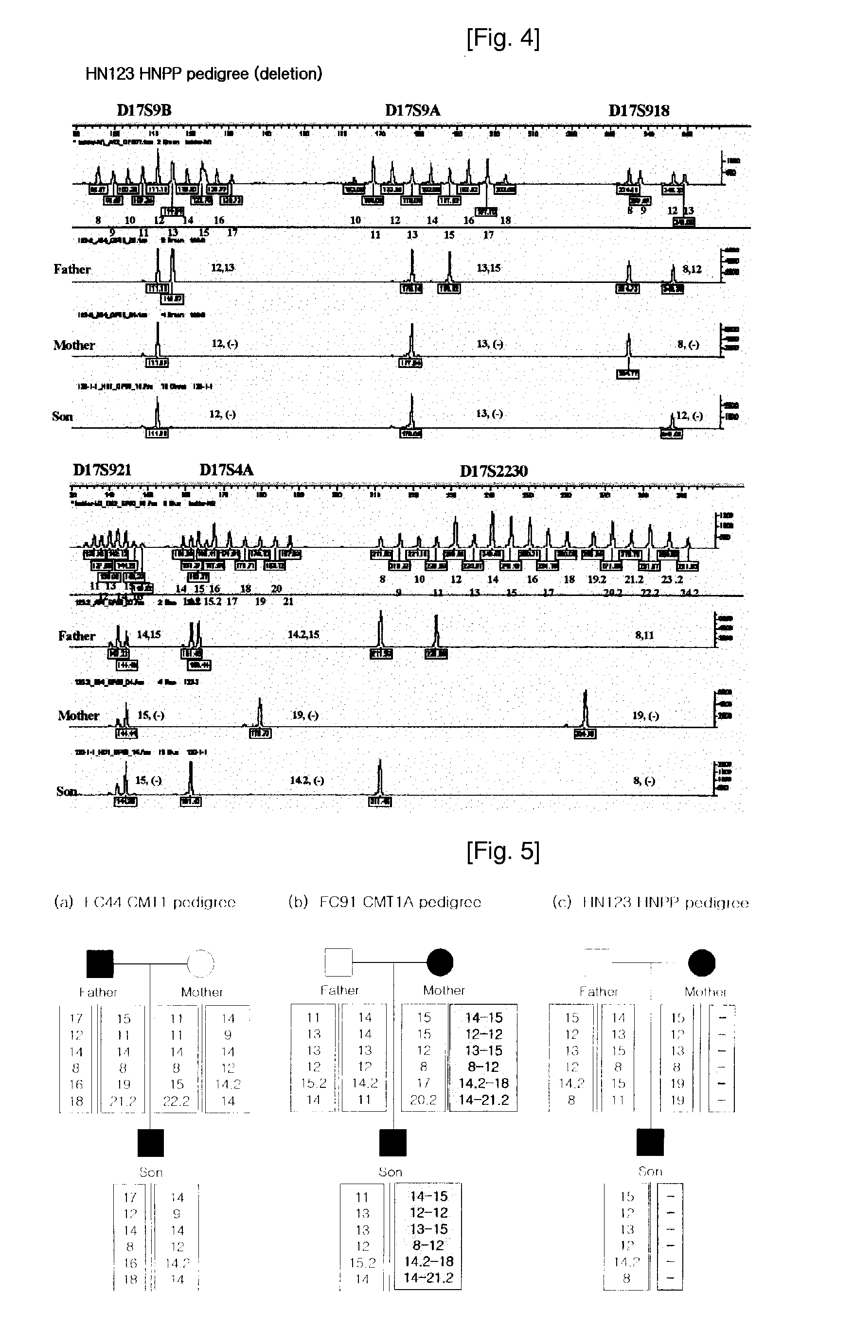 Diagnosis method and kits for inherited neuropathies caused by duplication or deletion of chromosome 17p11.2-p12 region