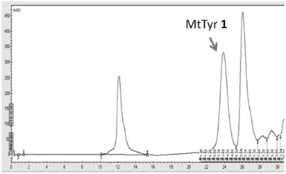 3-Methylthiotyrosine Translation System and Its Application