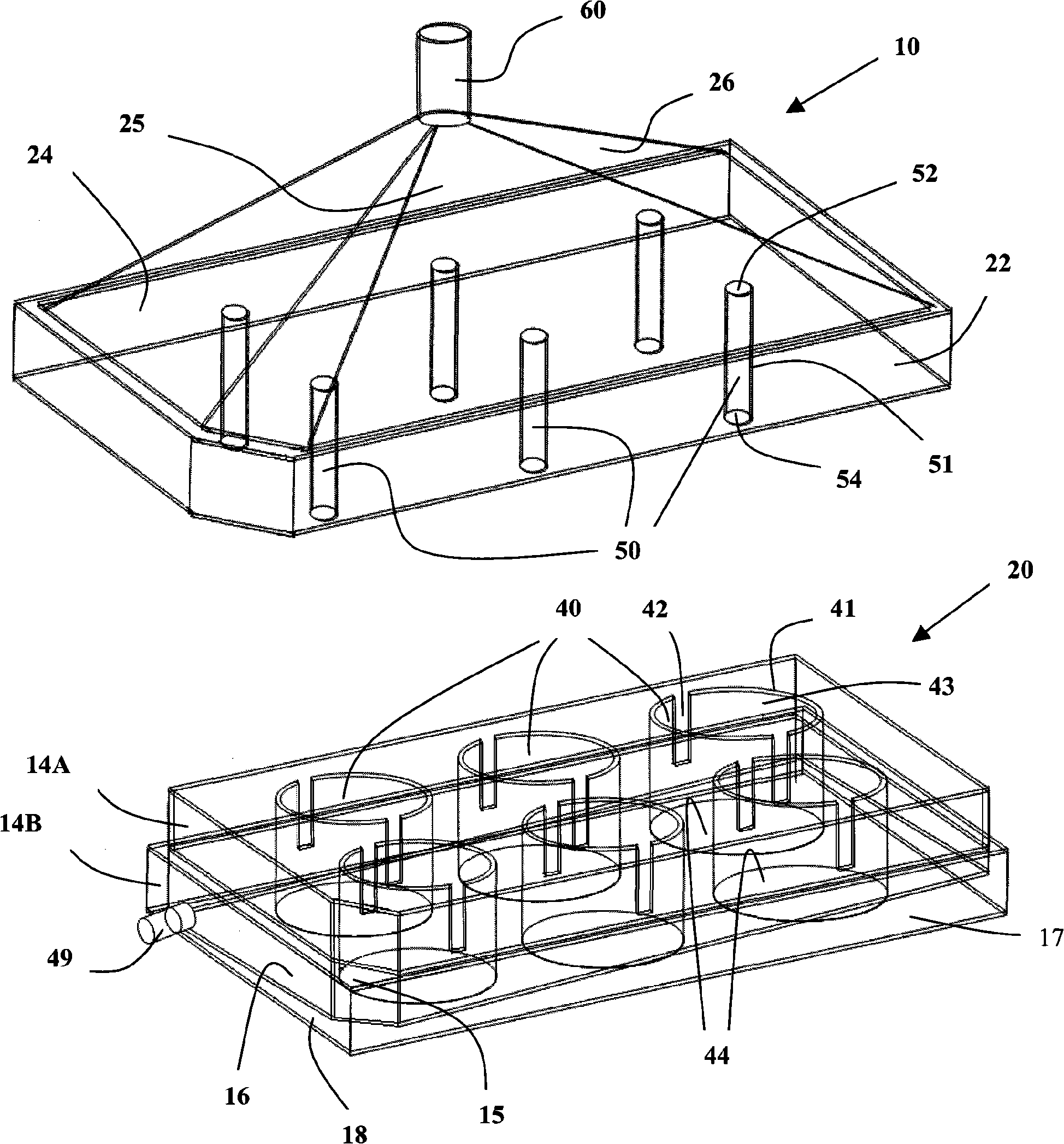 Apparatus and method for cultivation and process of cell or tissue