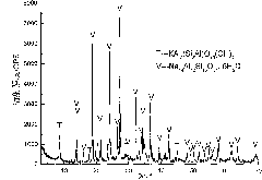 Process for preparing sodium potassium silicate solution by predesiliconizing potassium-rich rock